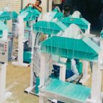 paper plate making machines by gt (10)